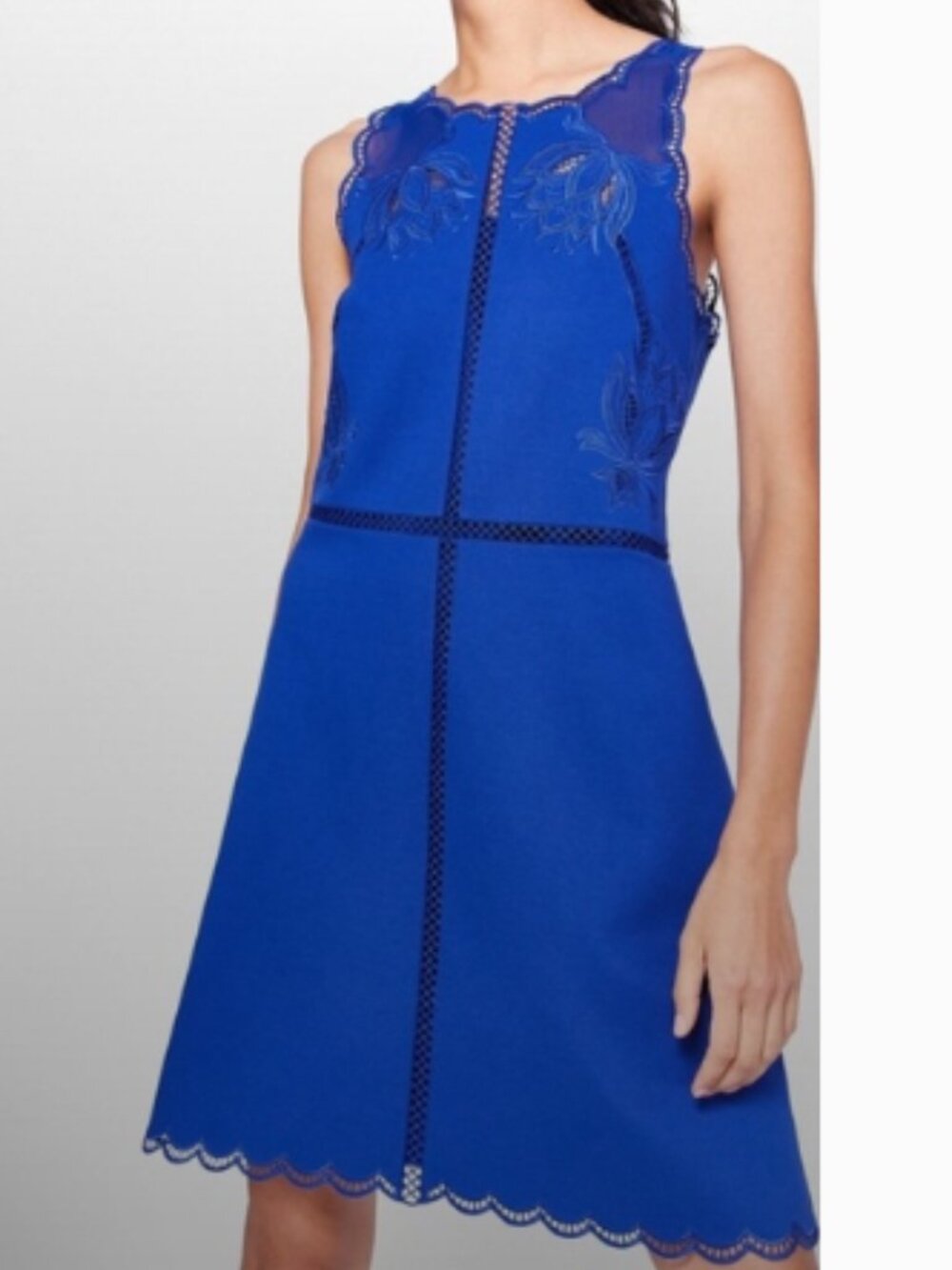 Ted Baker Royal Blue Embroidered Midi Dress